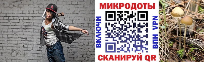 Галлюциногенные грибы мицелий  где можно купить   Суворов 